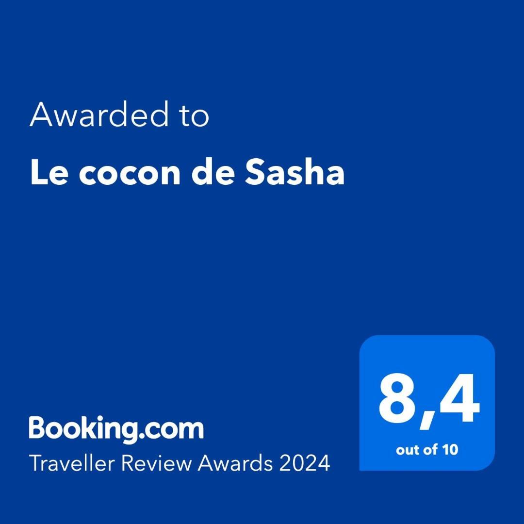 Le Cocon De Sasha - Hyper Centre - Full Climatisation - Proche Gare - 1 Chambre - Canape Convertible - Gere Par Presta-Zen'Services Verdun-sur-Meuse Ngoại thất bức ảnh